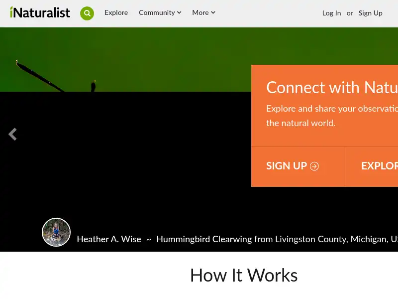 screenshot of iNaturalist