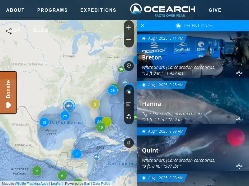 screenshot of OCEARCH Shark Tracker
