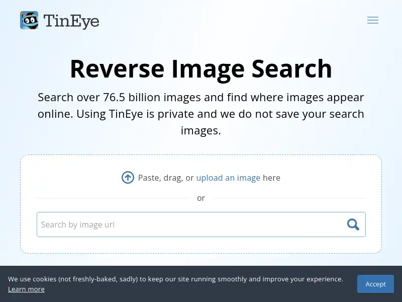 screenshot of TinEye Reverse Image Search