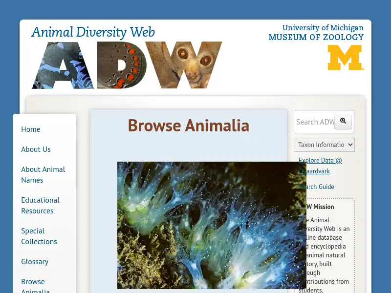 screenshot of Animal Diversity Web