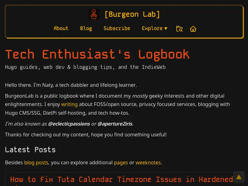 screenshot of Burgeon Lab: Naty's Tech Log