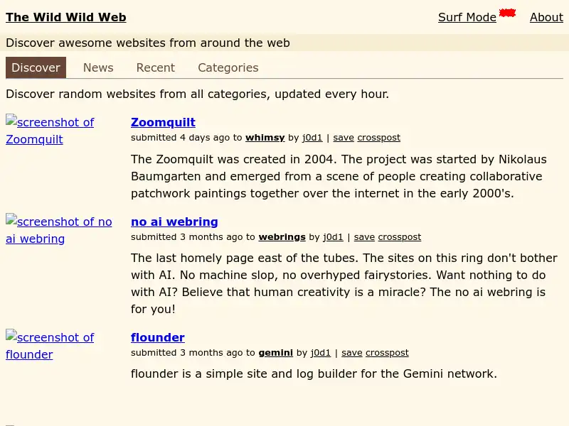 screenshot of The Wild Wild Web